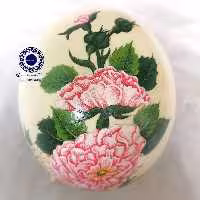  تخم شتر مرغ با طرح گل و مرغ نگارگری رنگ ثابت (پس کرایه)