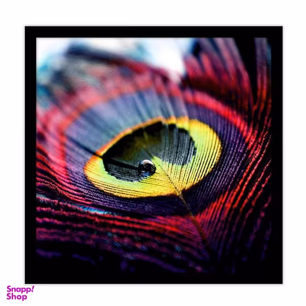 تابلو بکلیت طرح پر طاووس مدل B-11335