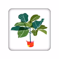 آینه جیبی مدل گیاه کد 985