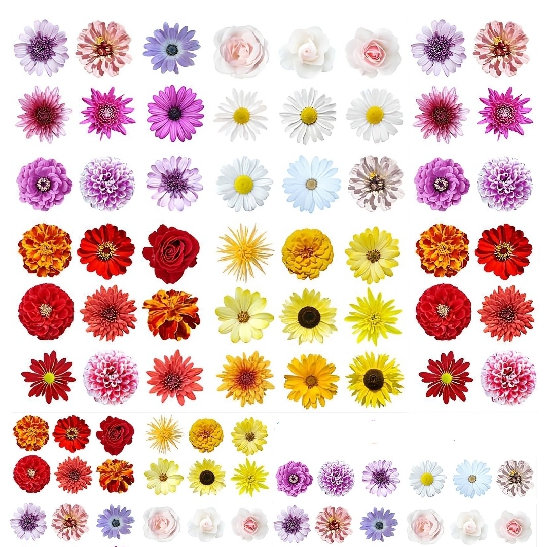 ترنسفر طلقی شفاف a4 طرح گل  کد 12 سایز 2.5و1.5 سانتی متری مناسب کارهای رزینی