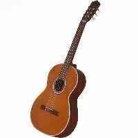 گیتار کلاسیک پارسی m5