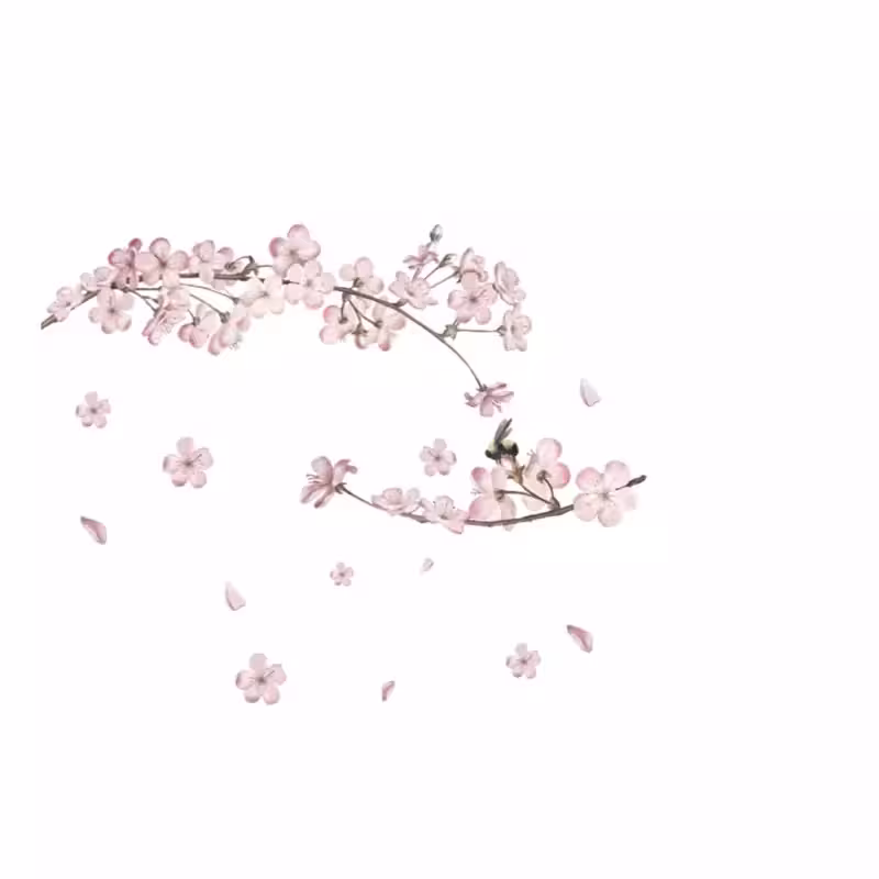 استیکردیواری شکوفه بهاری