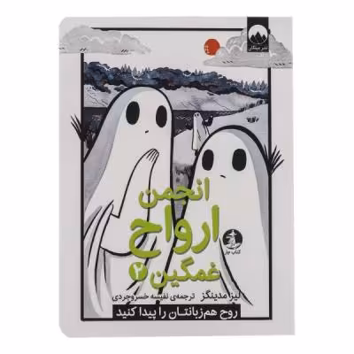 کتاب انجمن ارواح غمگین 2 اثر لیز مدینگز نشر میلکان