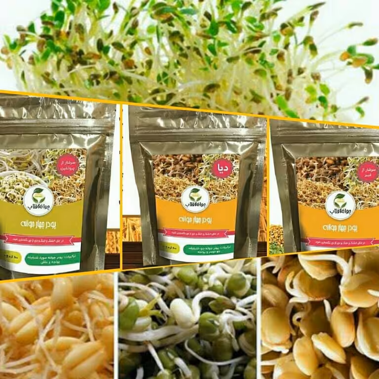 پودر سه جوانه آفتاب