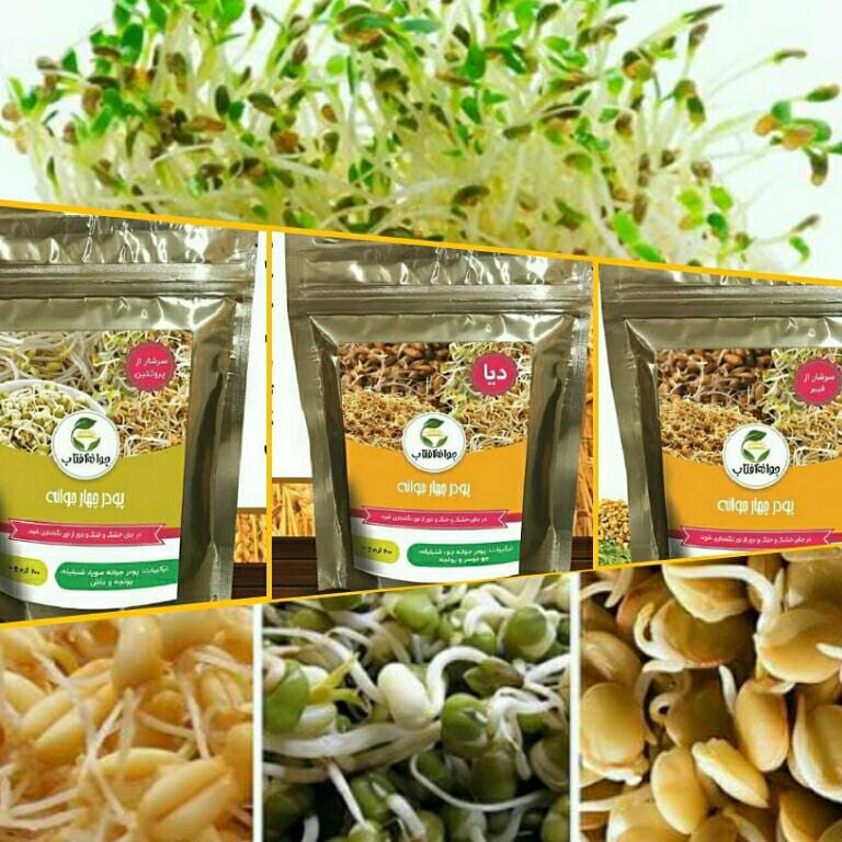 پودر سه جوانه آفتاب