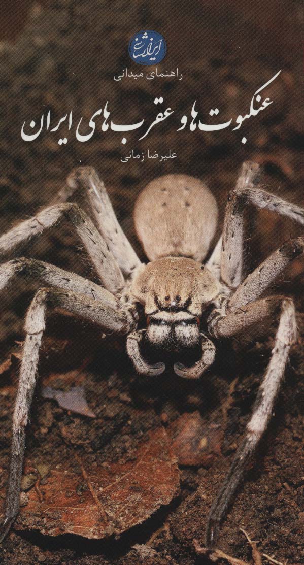 عنکبوت ها و عقرب های ایران (راهنمای میدانی)،(گلاسه) - ناشربوک | خرید آنلاین کتاب