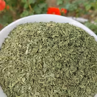 نعنا خشک فروشگاه آنلاین پرتقال(500گرم)