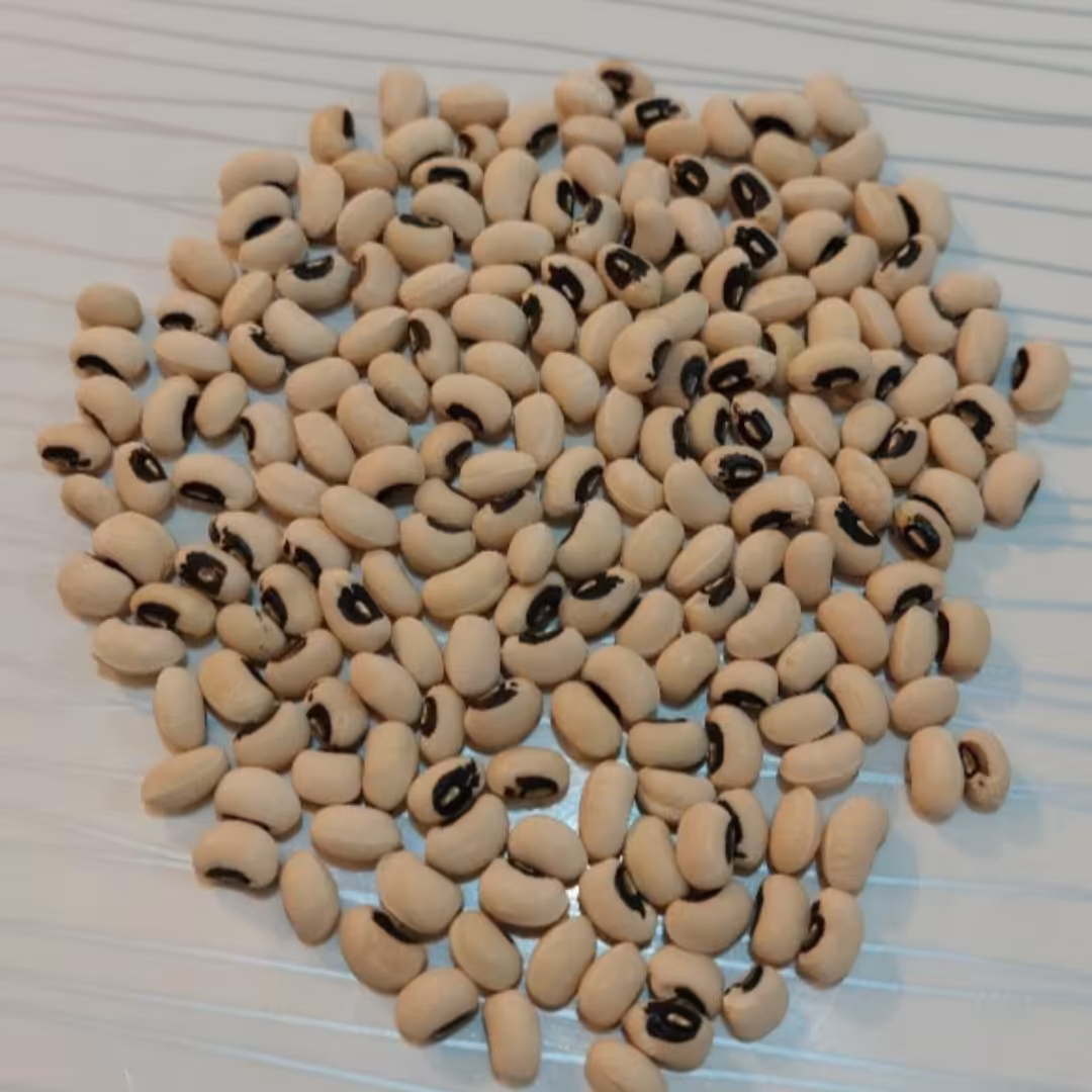 لوبیا چشم بلبلی