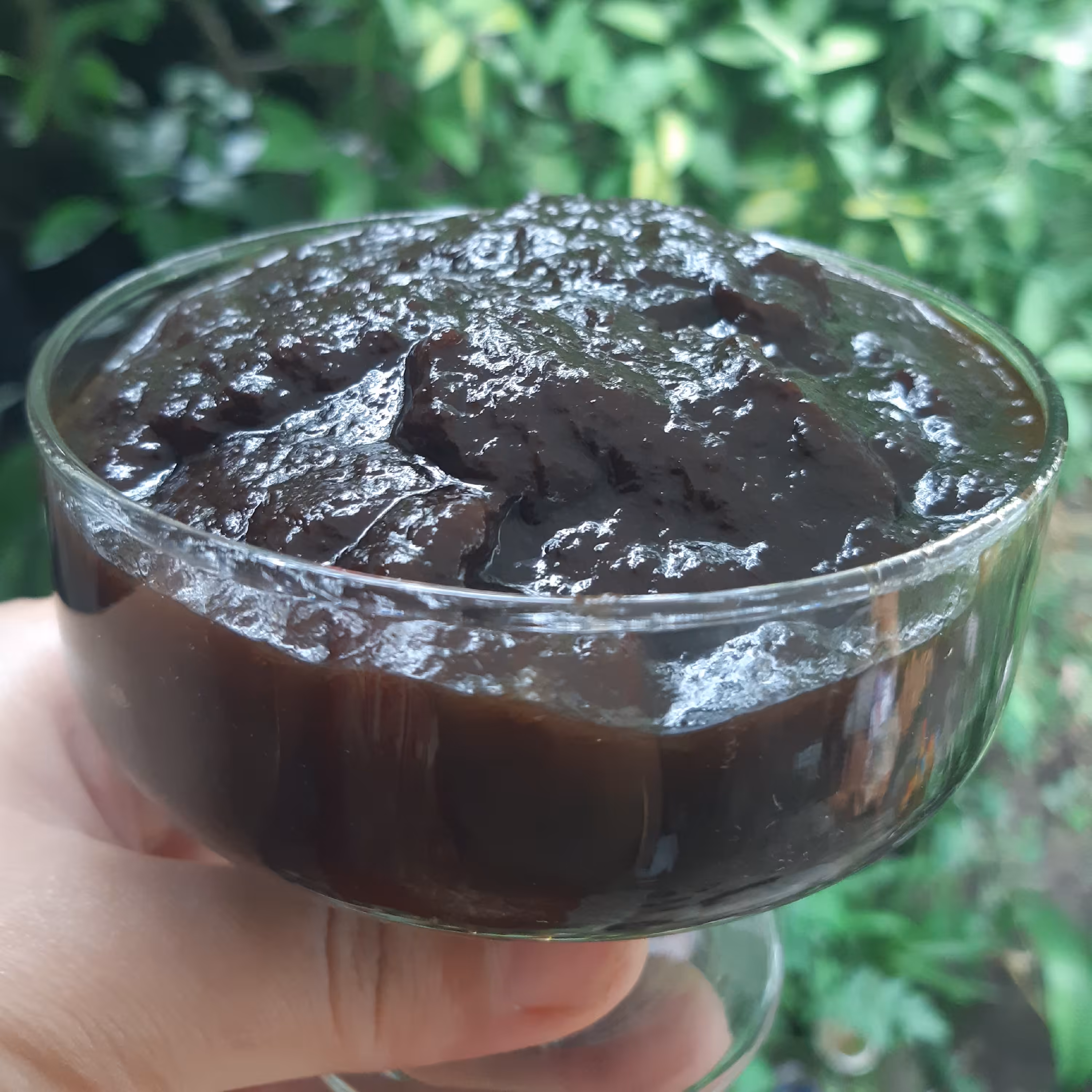 رب آلوچه محلی ترش  آستانه 450گرمی محصول 1403