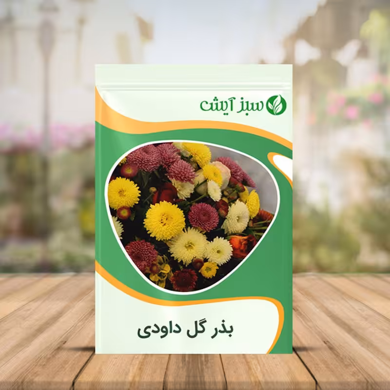 بذر گل داوودی الوان پرپر