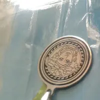 کد359 . گردنبند ورساچ