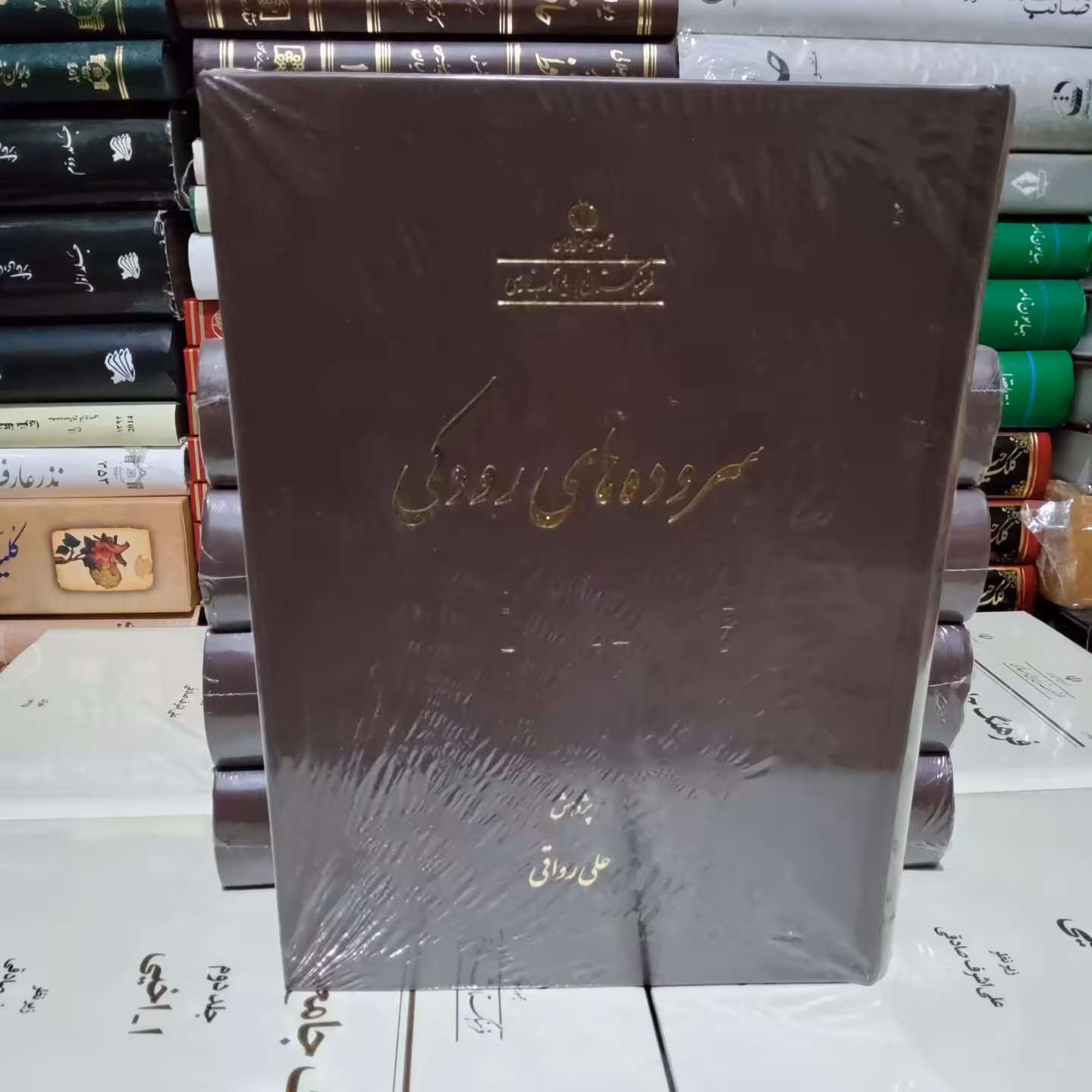 کتاب سروده های رودکی