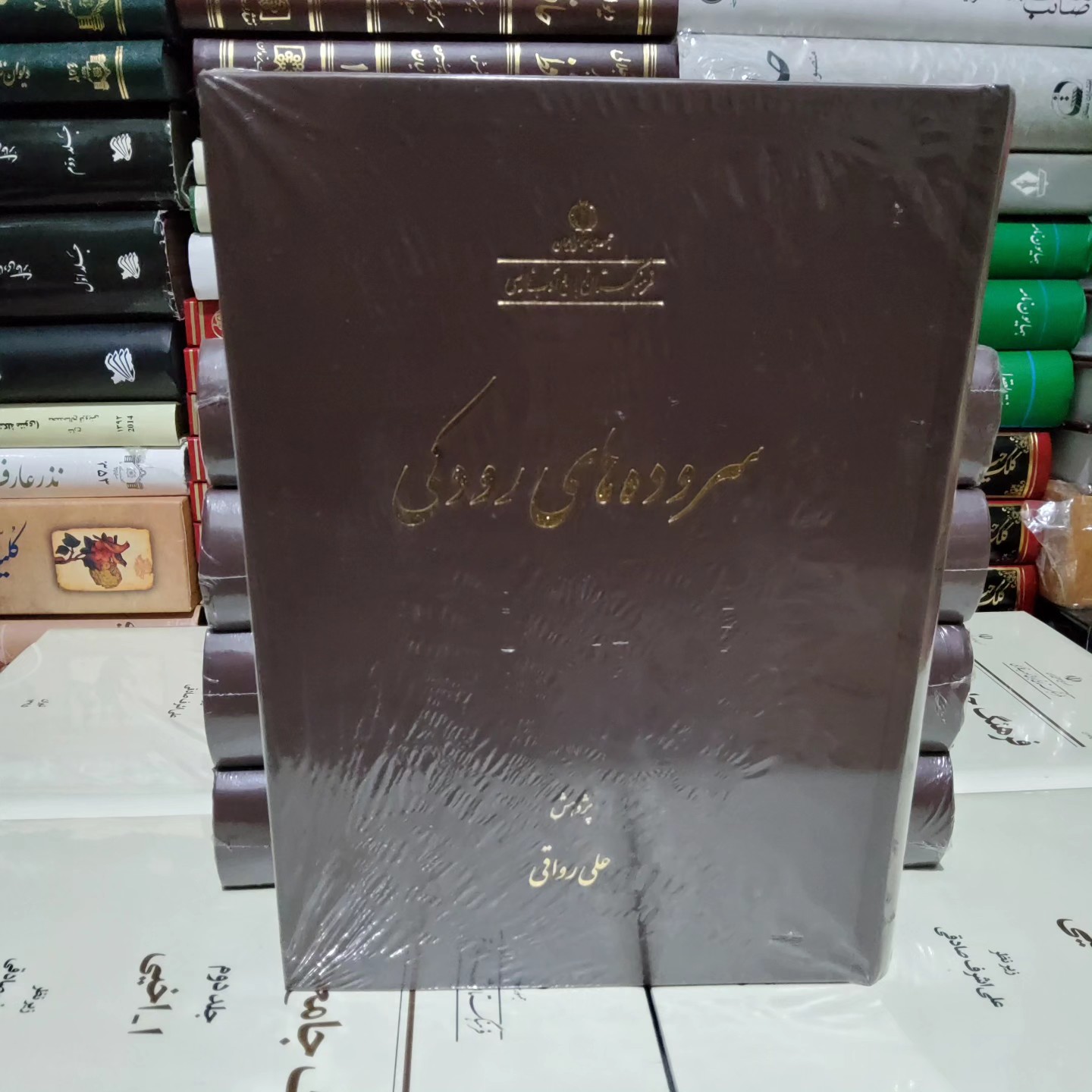 کتاب سروده های رودکی