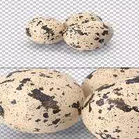 عکس تخم بلدرچین دوربری | گرافیک با طعم تربچه