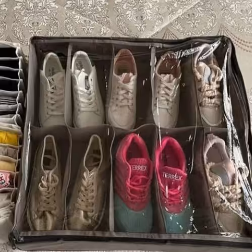 نظم دهنده کفش