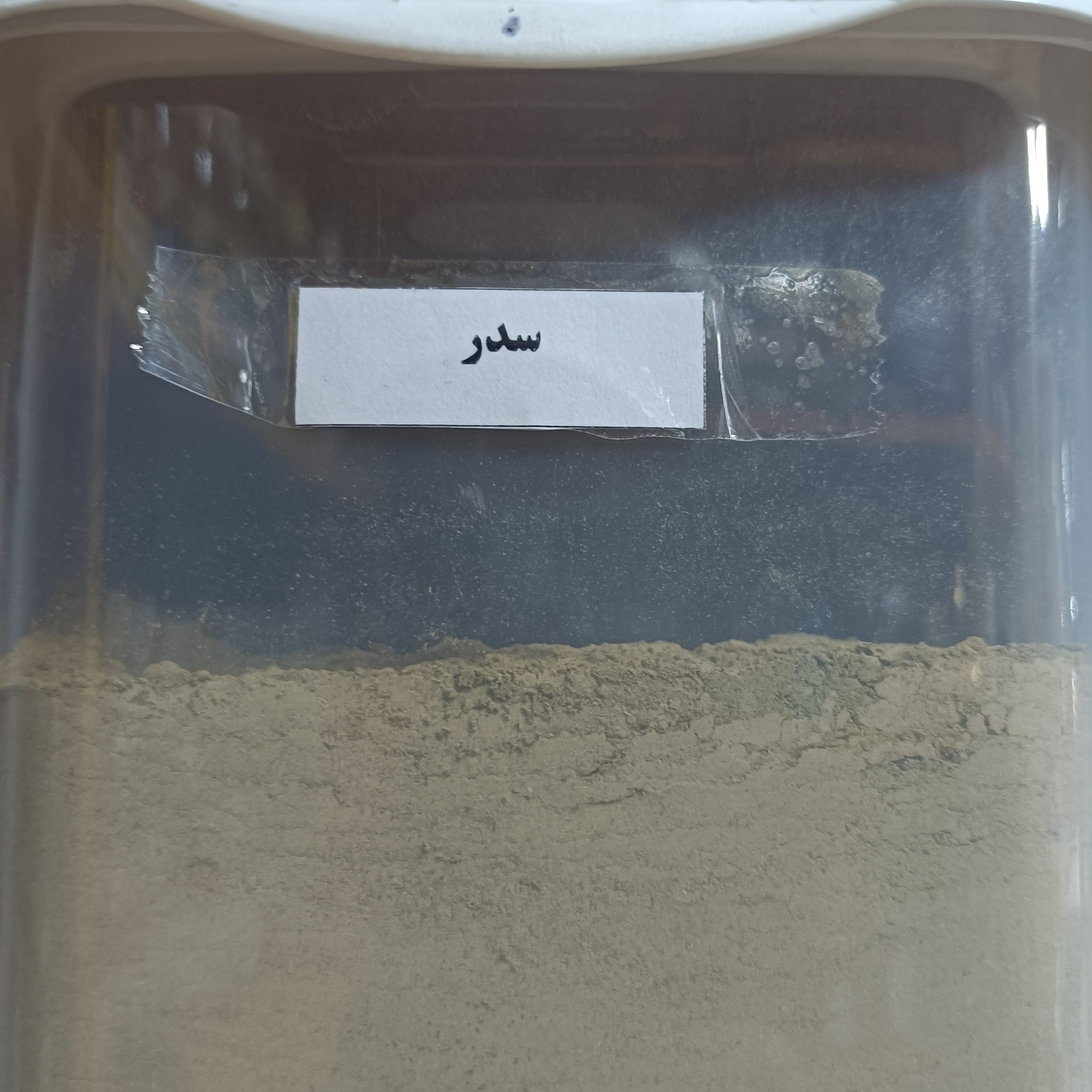 پودر سدر اعلا 200 گرمی