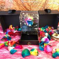 رز جاودان هفت رنگ  مدل مینی سوپرایزی موزیکال کوکی باریسه 