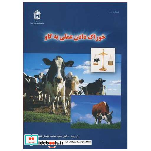 خوراک دادن عملی به گاو