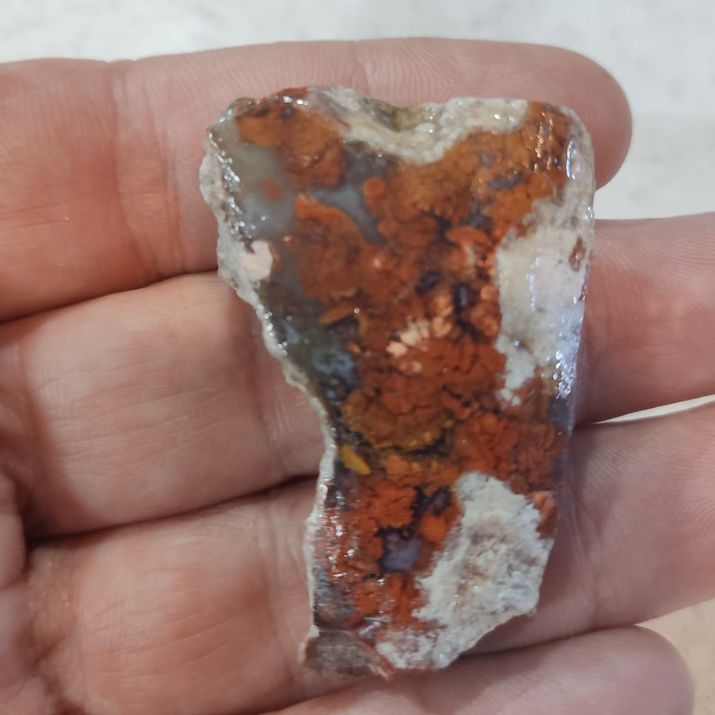 اسلایس شجر رنگی روغن جلا خورده(کد0108)