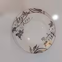 بشقاب پلوخوری   سایز 24 چینی پارس در بسته 6 تایی   ارسال رایگان به سراسر ایران 