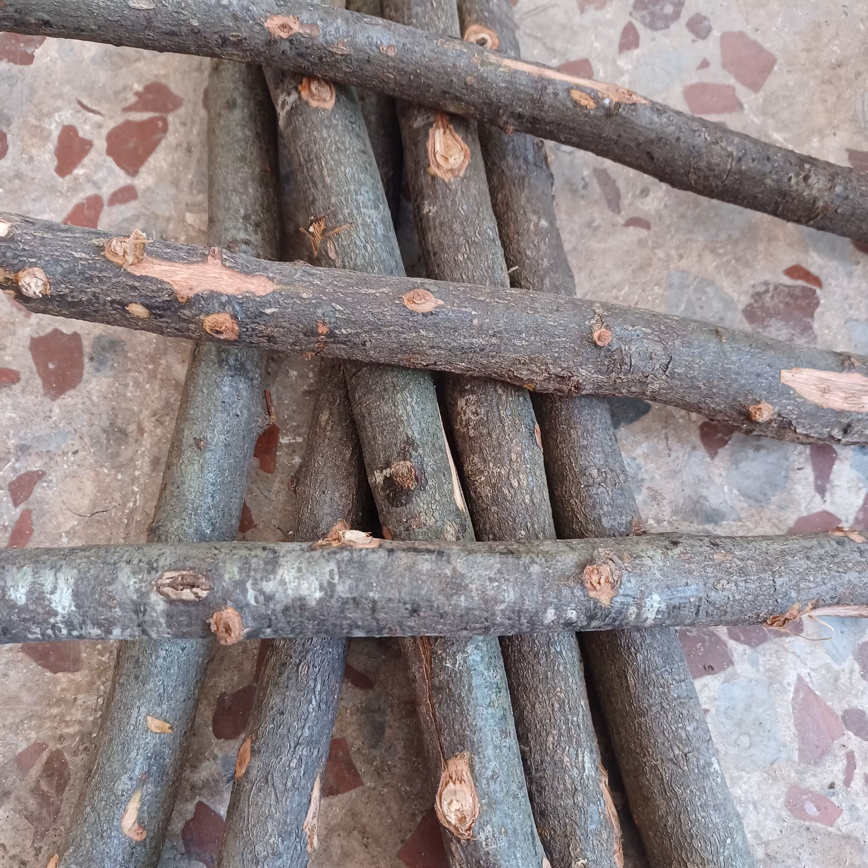 چوب بلوط جنگلی  1کیلویی 