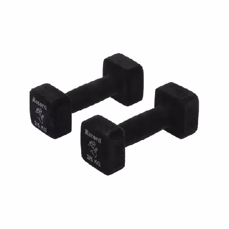 دمبل ایروبیک مخمل 2.5 کیلوگرمی رکورد بسته دو عددی