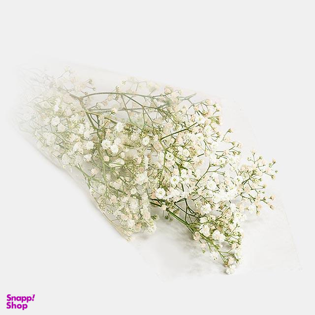 دسته گل ژیپسوفیلا رنگ سفید
