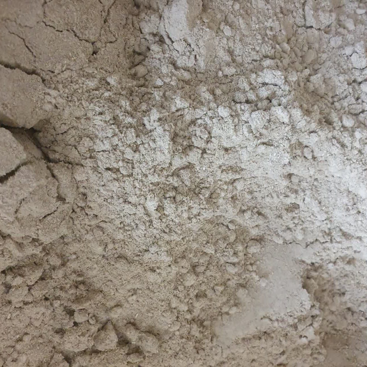 پودر چله داغی  100 گرم مناسب رماتیسم .کمردرد