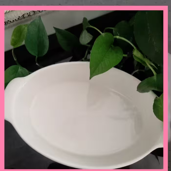 تابه سرامیکی بیضی 