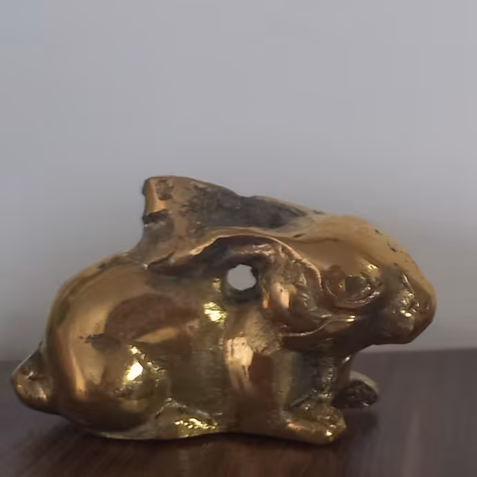 خرگوش برنجی 