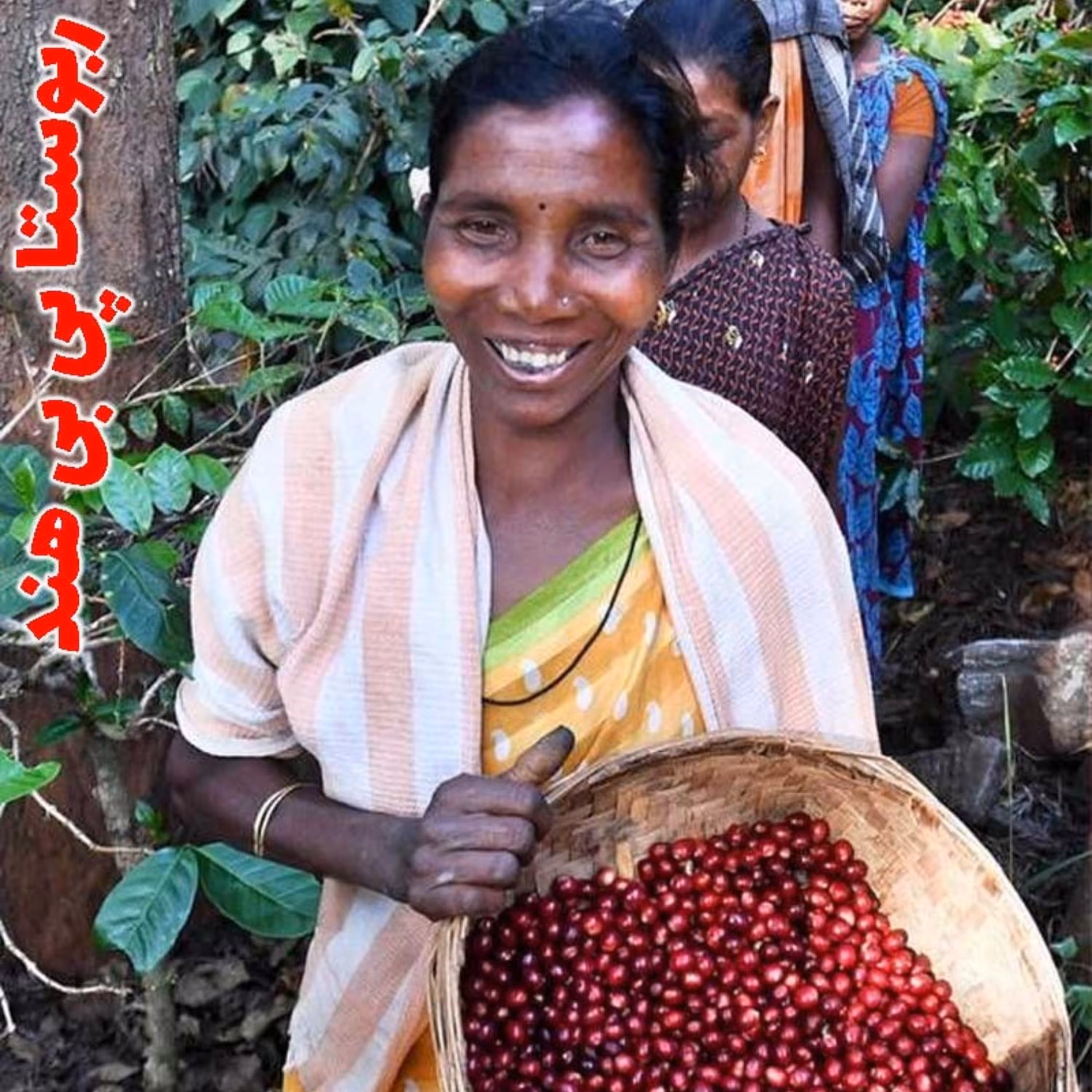 دان قهوه پی بی PB(Peaberry) مدیوم رست 1000 گرم