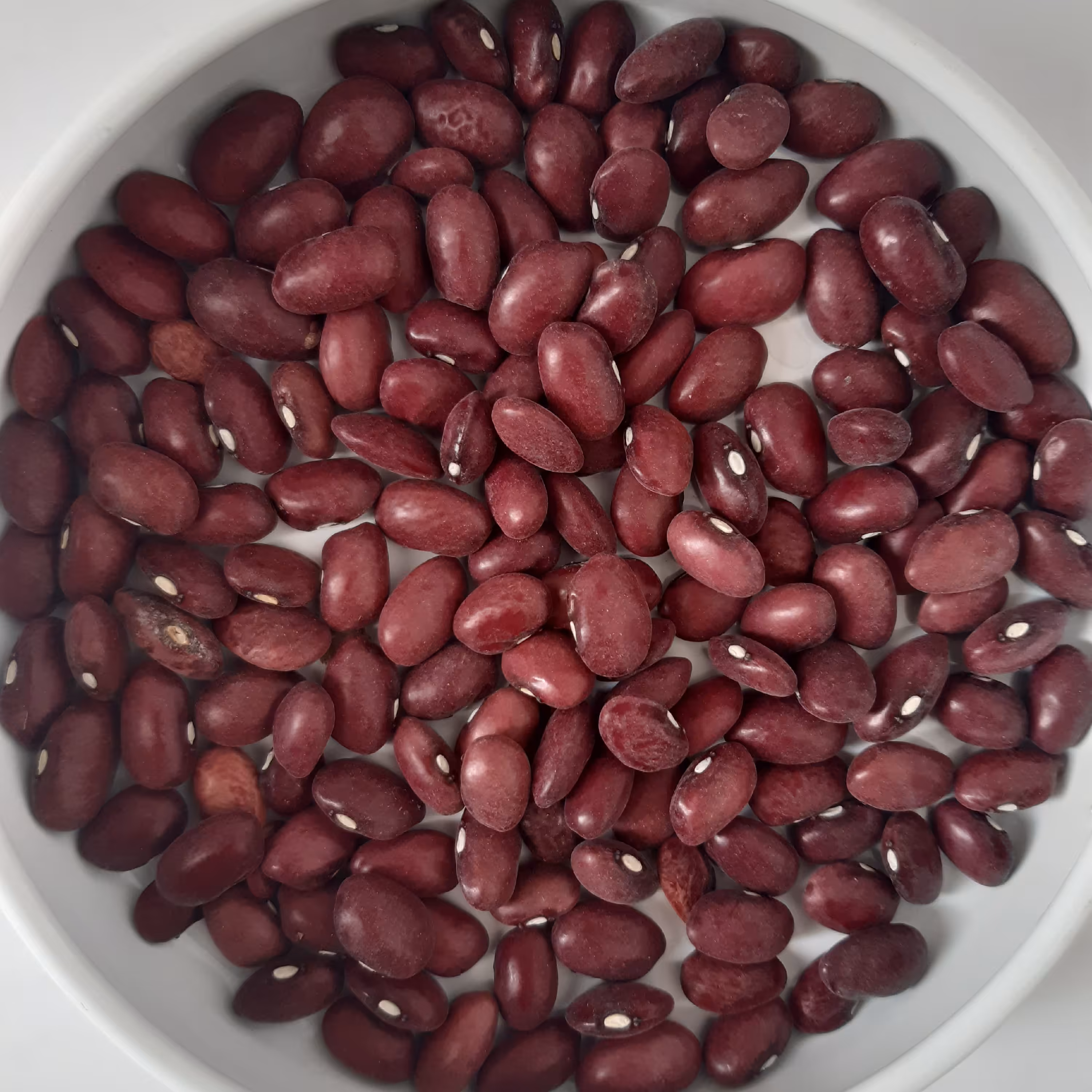 لوبیا قرمز پاک شده یک کیلویی، محلی، یکدست و زودپز، محصول خراسان شمالی