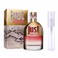 عطر گرمی جاست کاوالی از برند پالوما فرانسه (حداقل خرید 5 میل) 