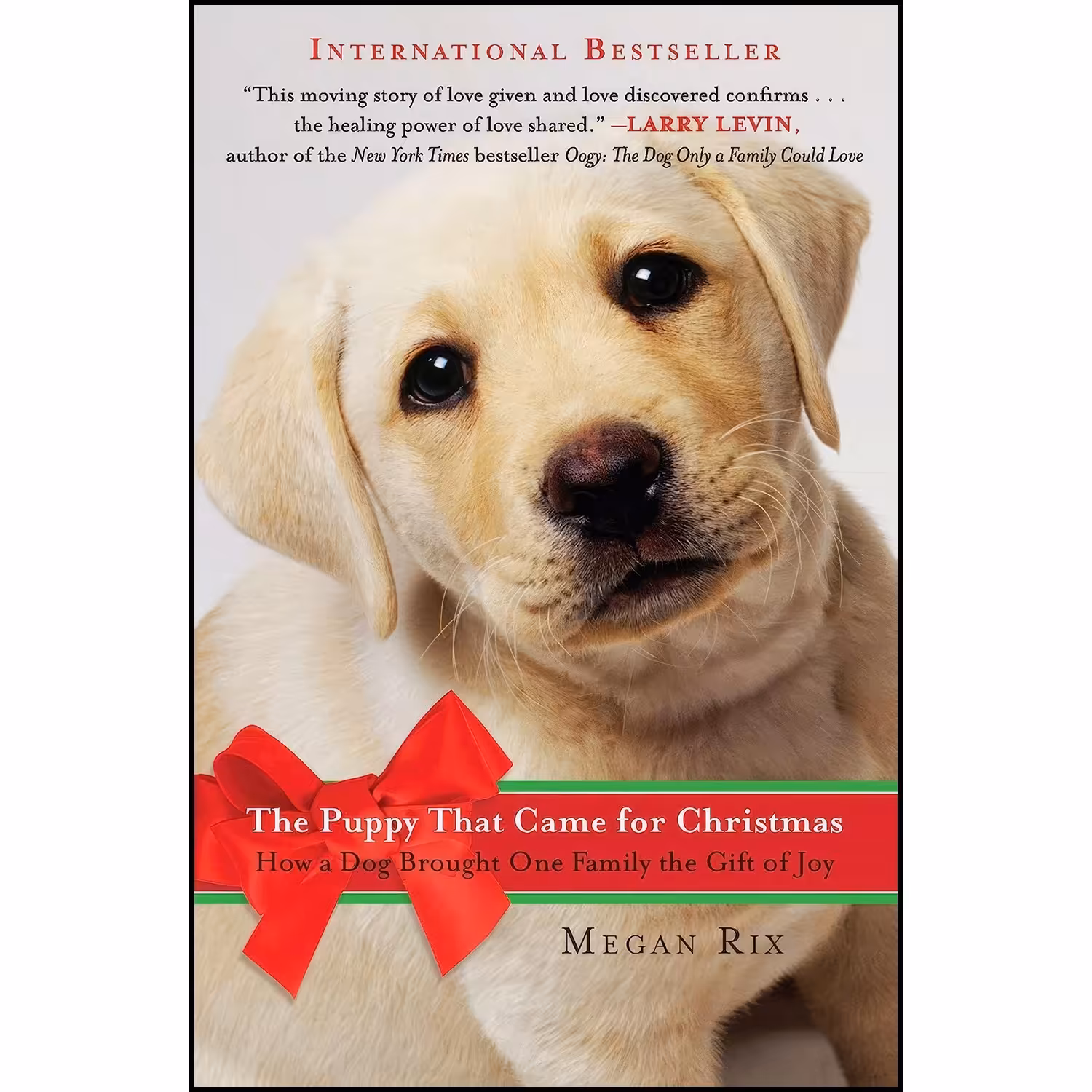 کتاب زبان اصلی The Puppy That Came for Christmas اثر Megan Rix