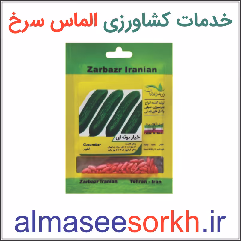 بذر خیار بوته ای زر بذر ایرانیان | گیاه پزشکی الماس سرخ