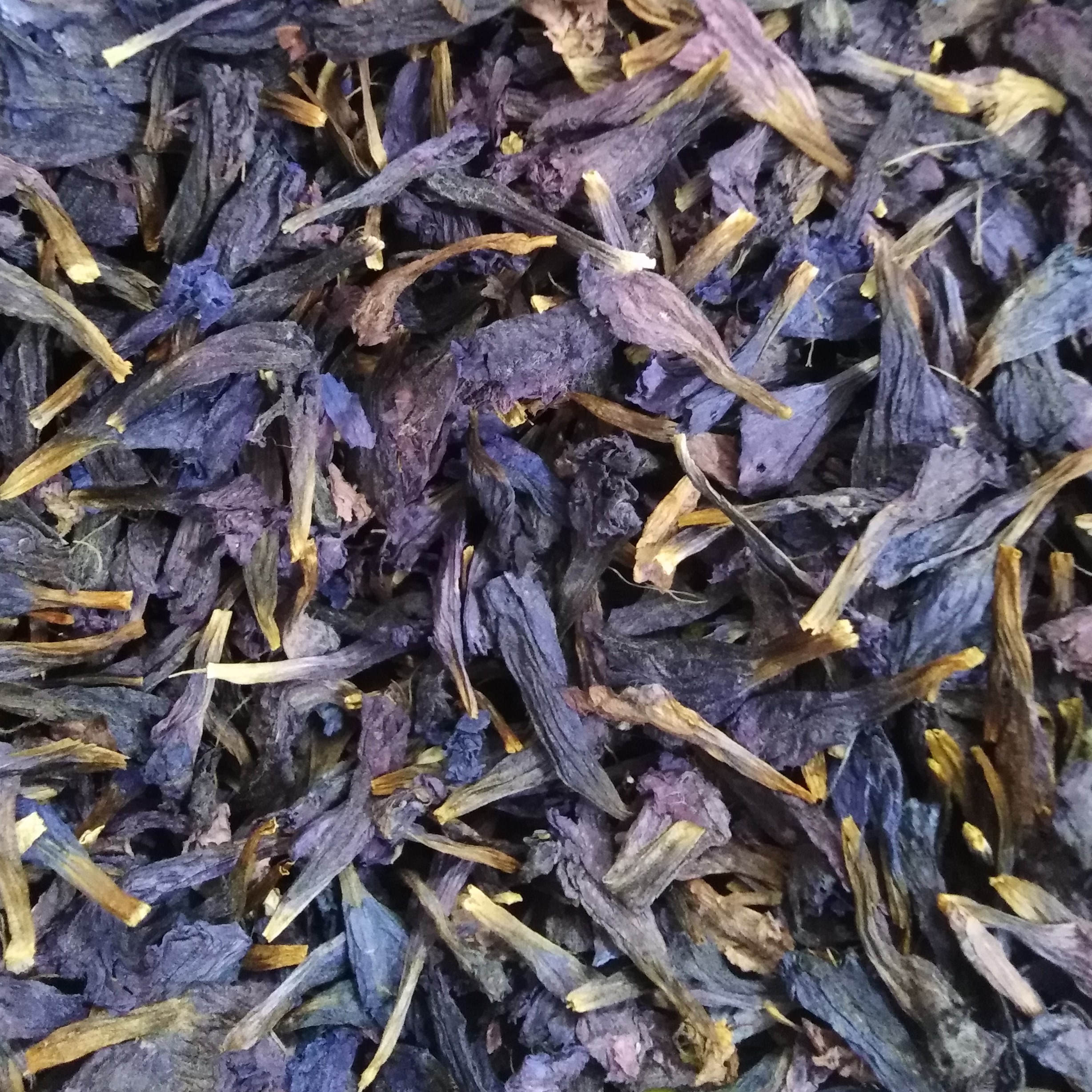 گل گاو زبان