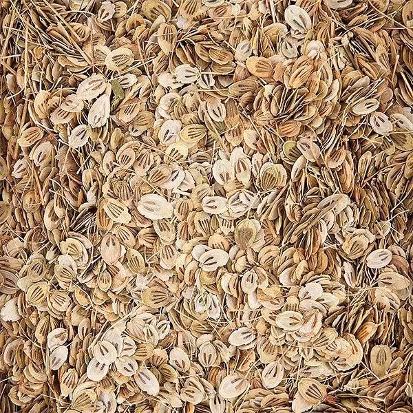 گلپر 75 گرمی