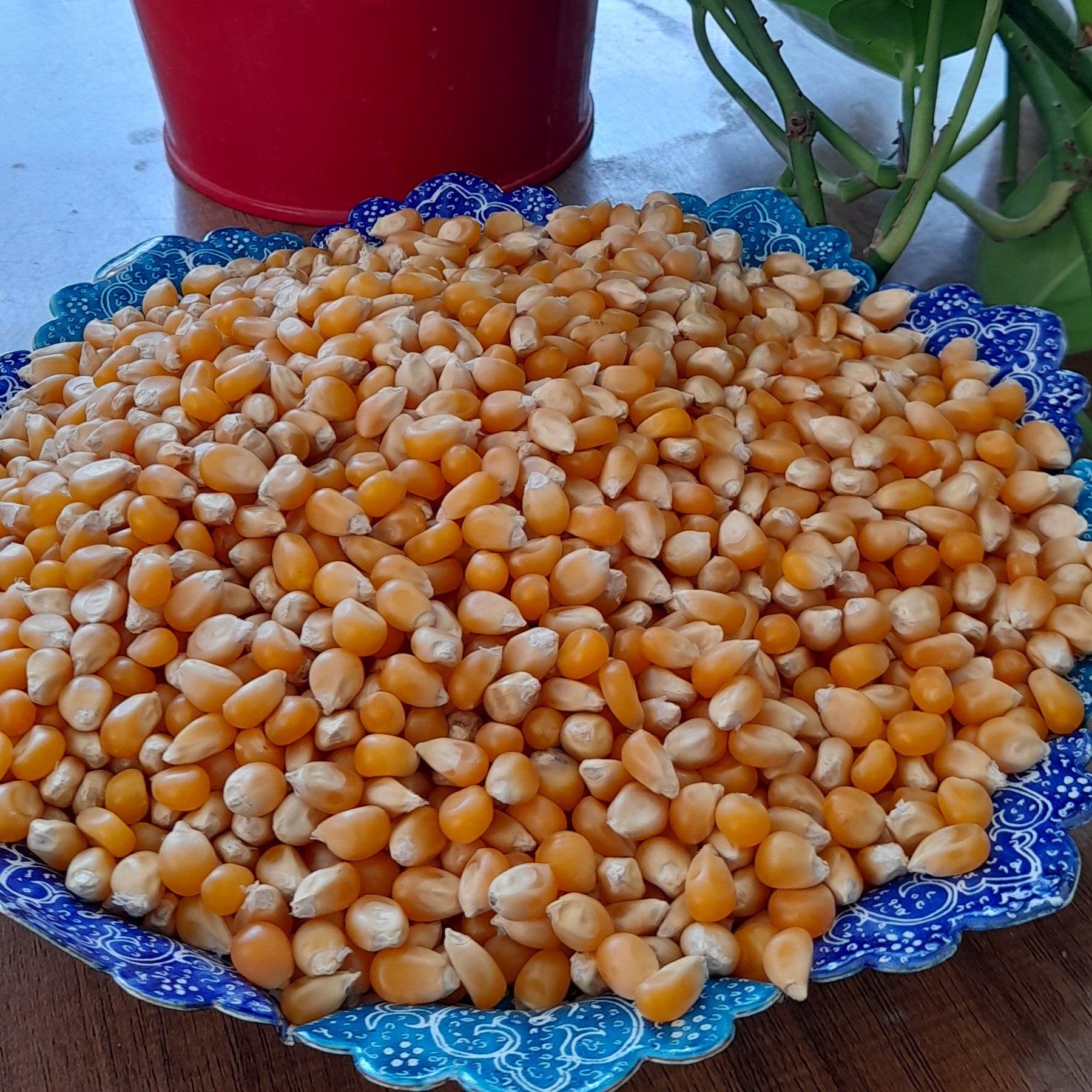 ذرت پاپ کورن (پفیلا) درجه یک 750 گرمی