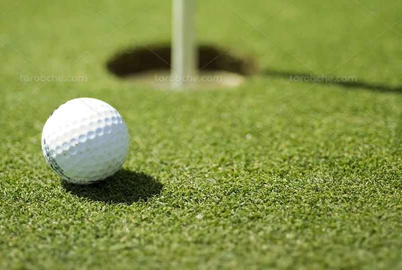 عکس توپ گلف و زمین چمن | گرافیک با طعم تربچه