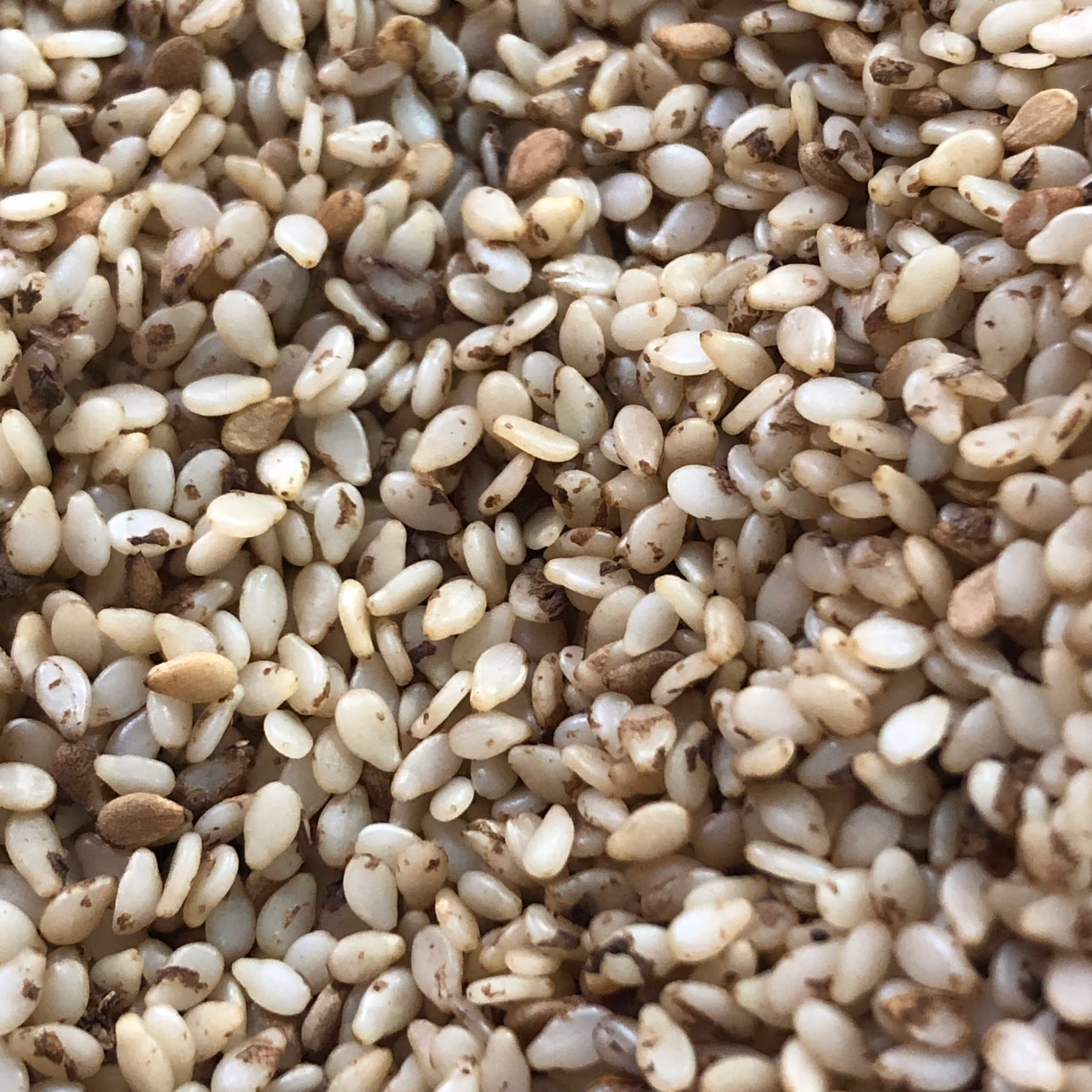 کنجد ایرانی سفید شده با دست (250گرمی )