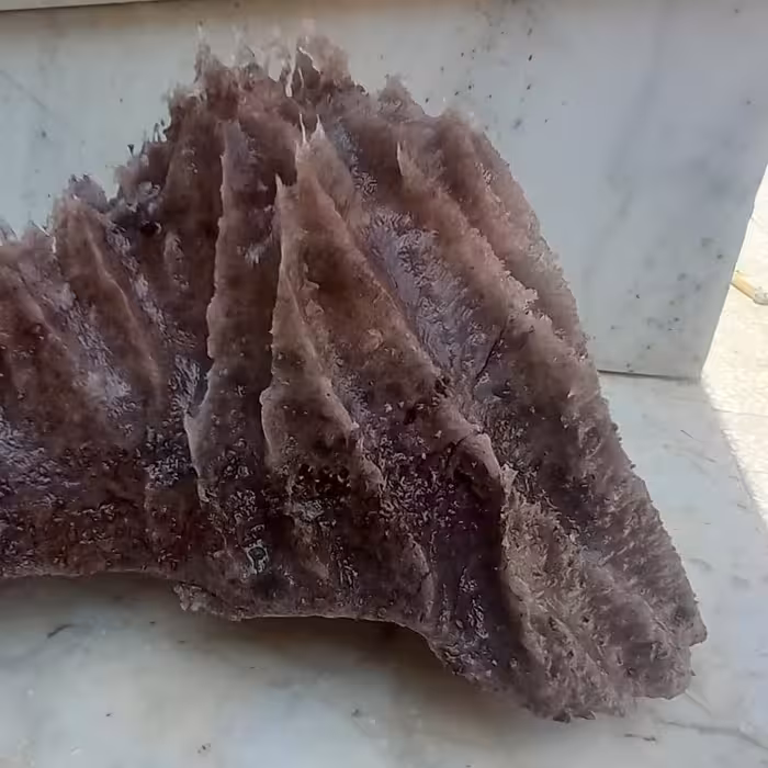 سنگ قندیل کلکسیونی نمک سرخ