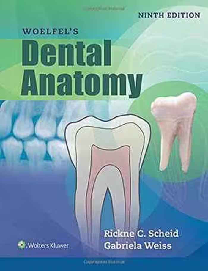 [PDF] دانلود کتاب Woelfels Dental Anatomy, 9th ed, 2016