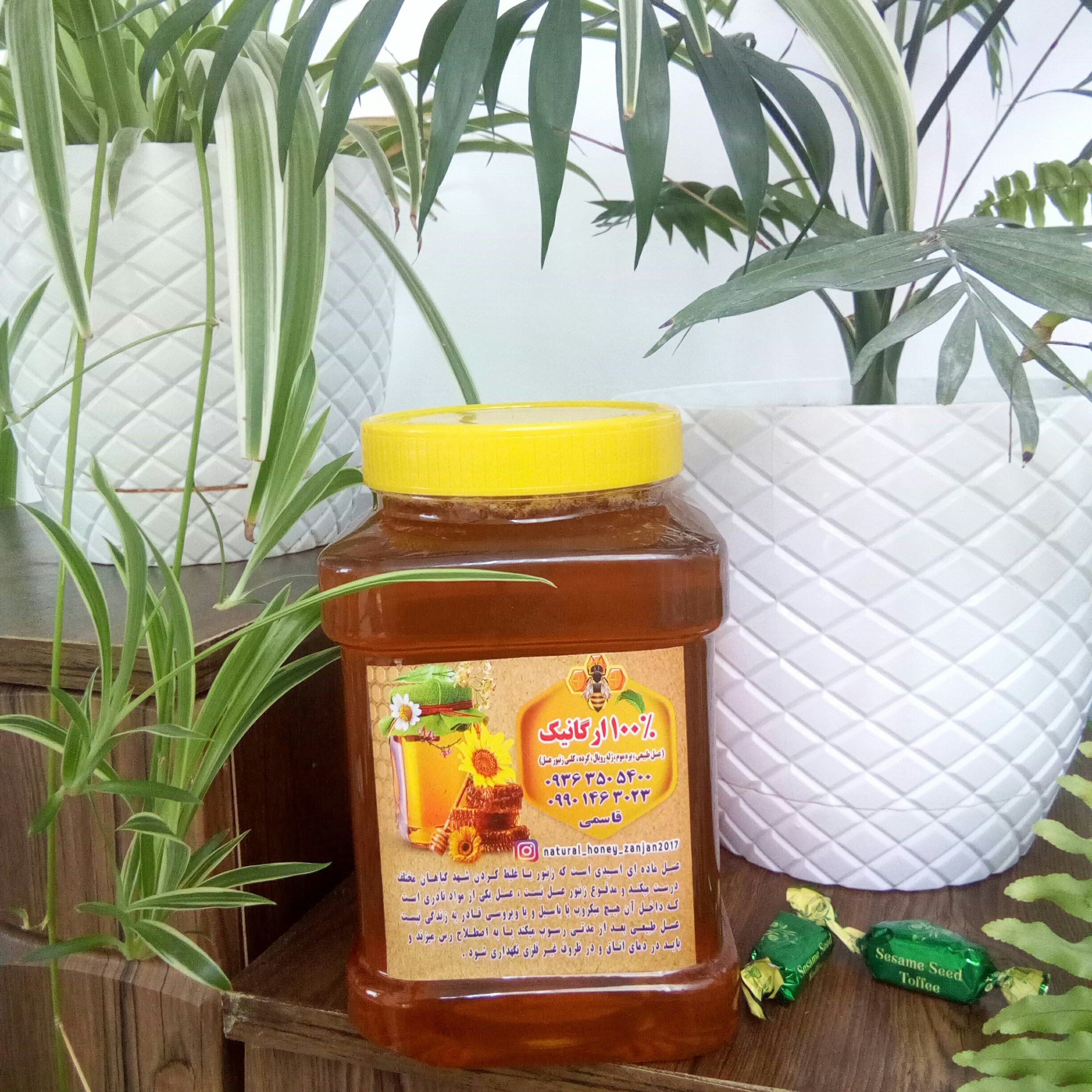 عسل چند گیاه طبیعی کوهستان با عطر و طعم و رنگ عالی 