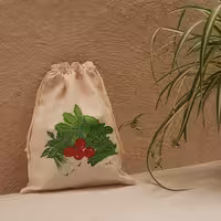 کیسه سبزی یک لایه