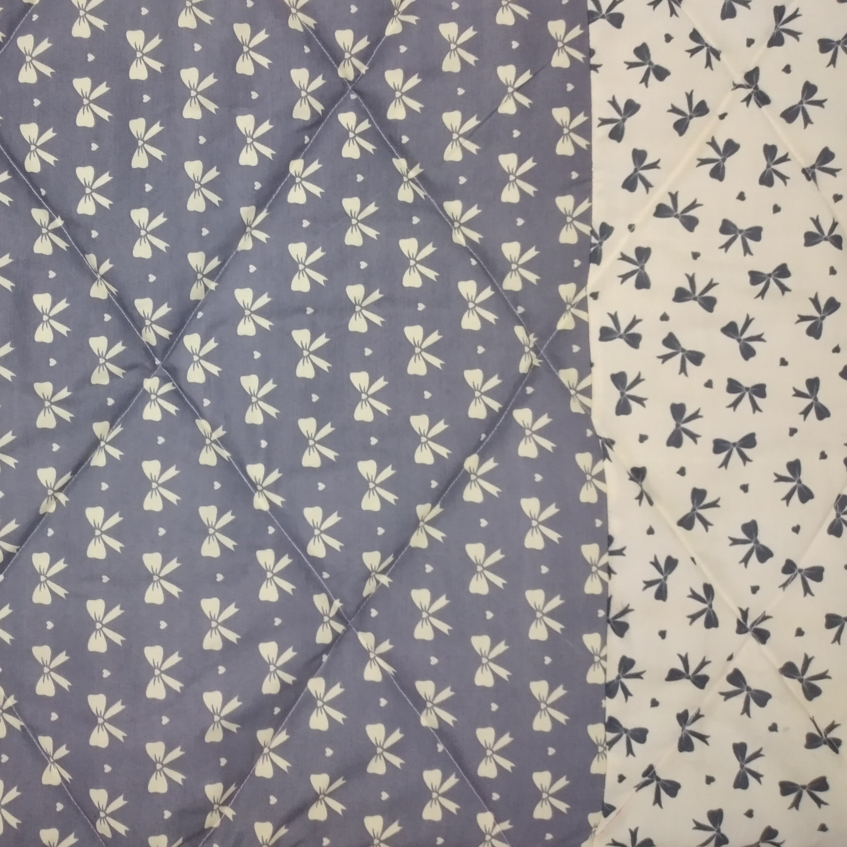 نمگیردولاپشم شیشه  