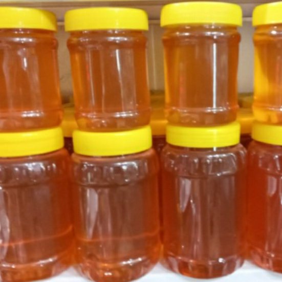 عسل کُنار ( نیم کیلویی)