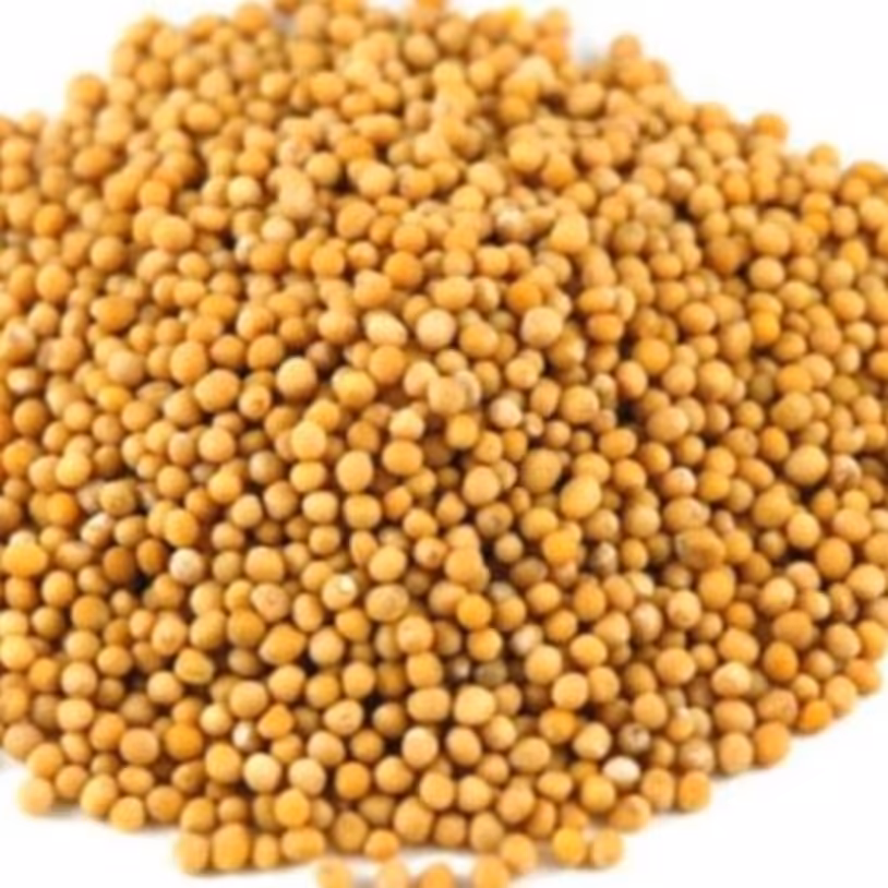 دان خردل درجه یک 70گرمی