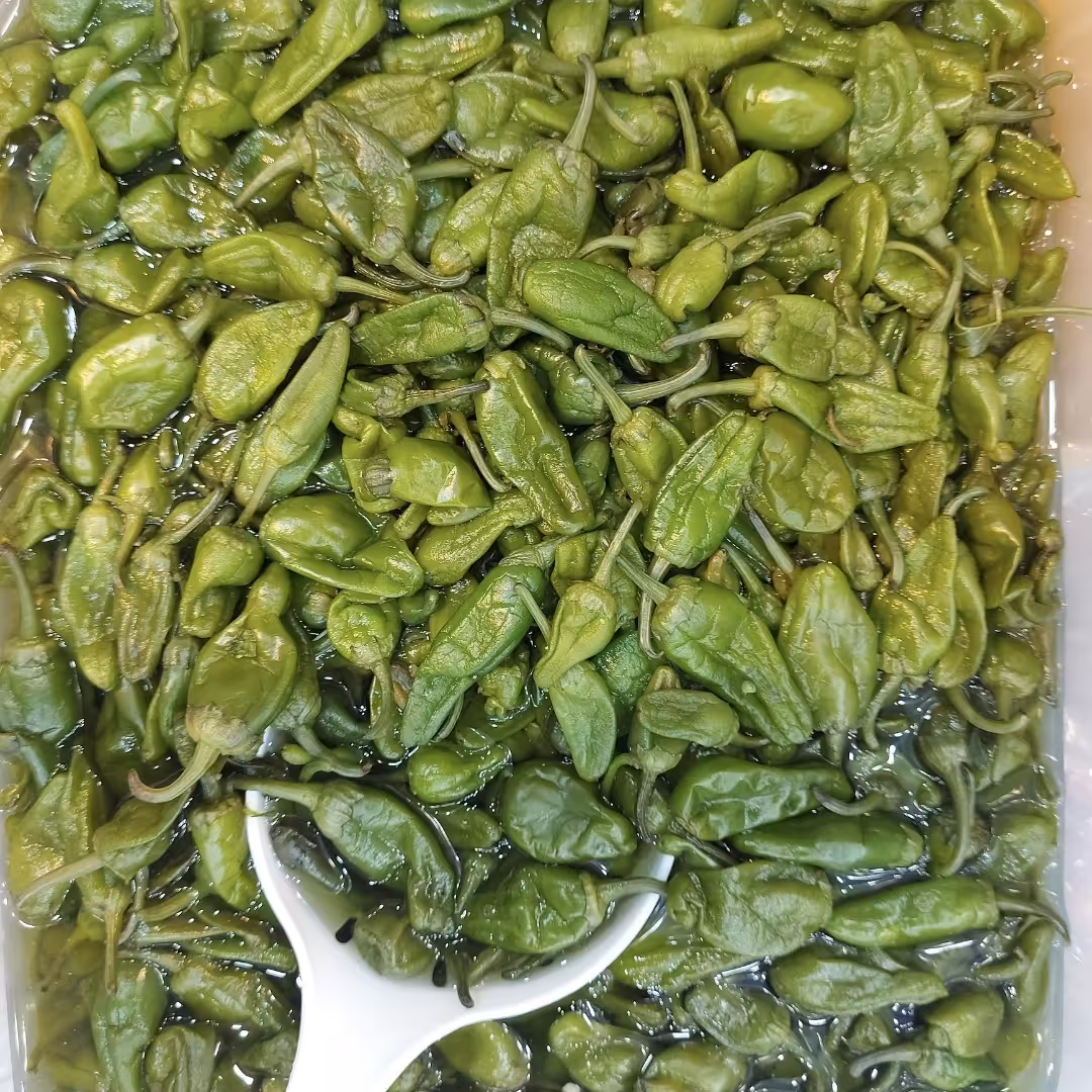 ترشی فلفل سبز (بیبار)