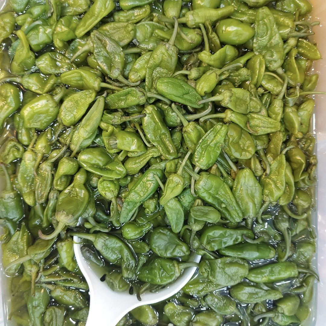 ترشی فلفل سبز (بیبار)