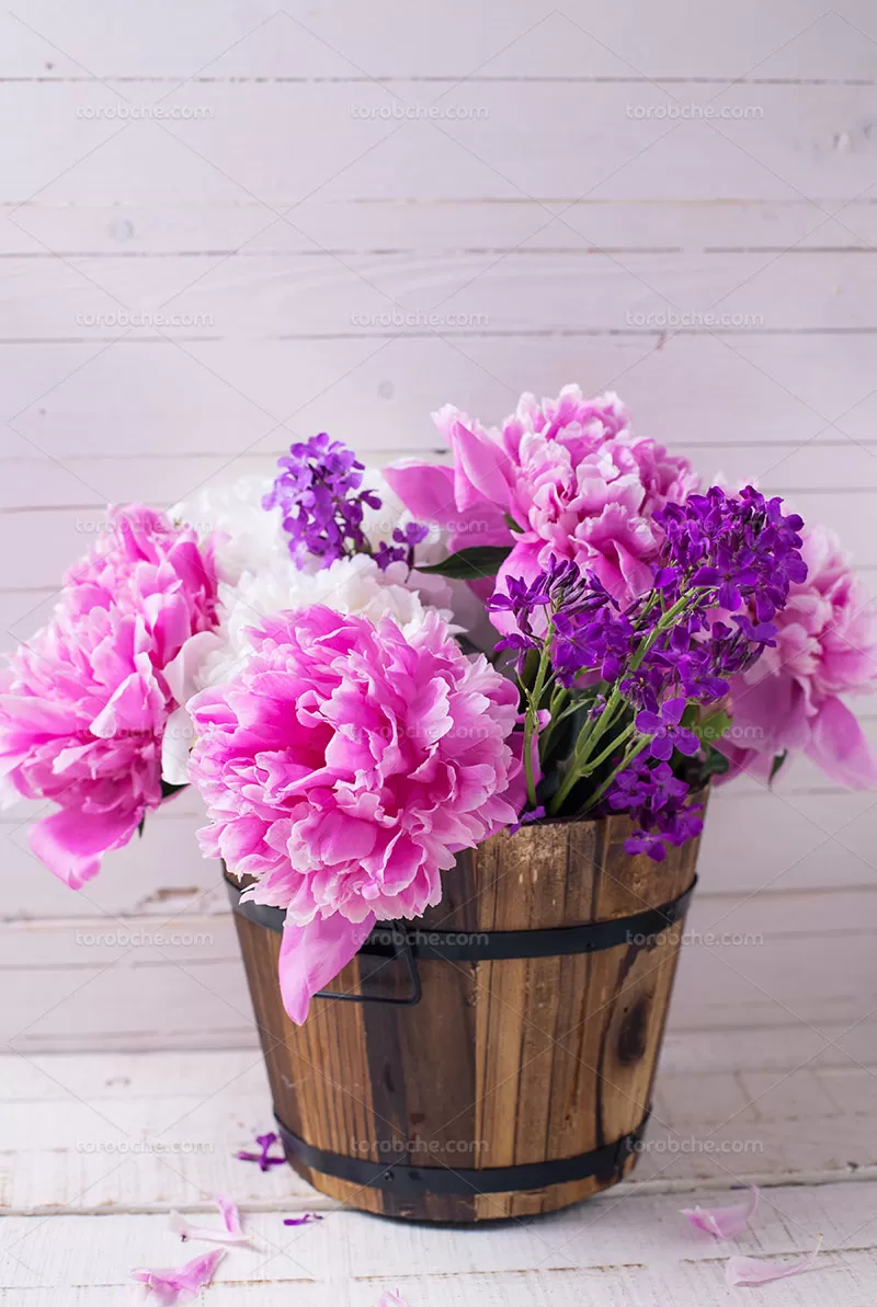 عکس گل صورتی رنگ | گرافیک با طعم تربچه